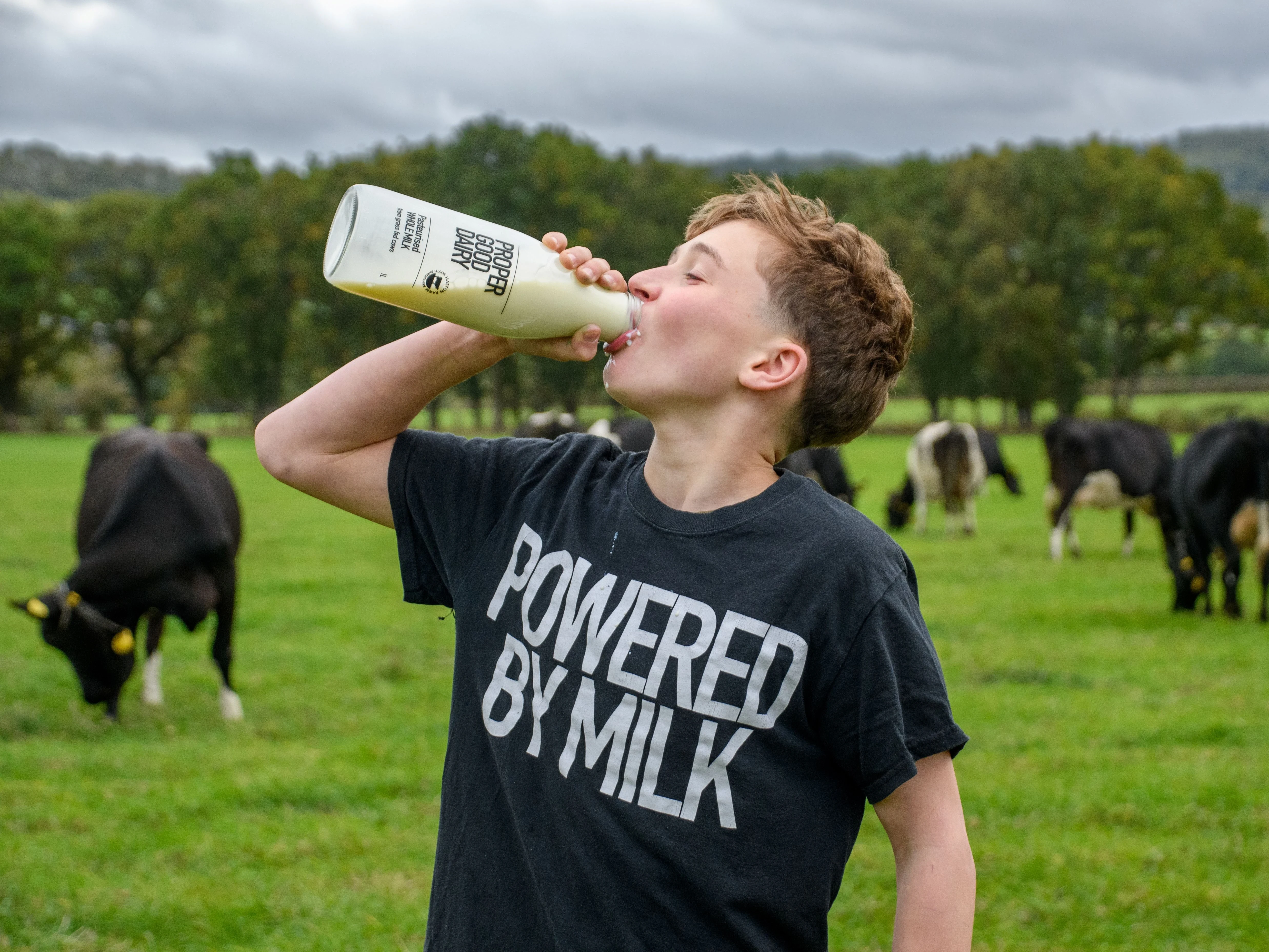Proper Good Dairy, sent by the business