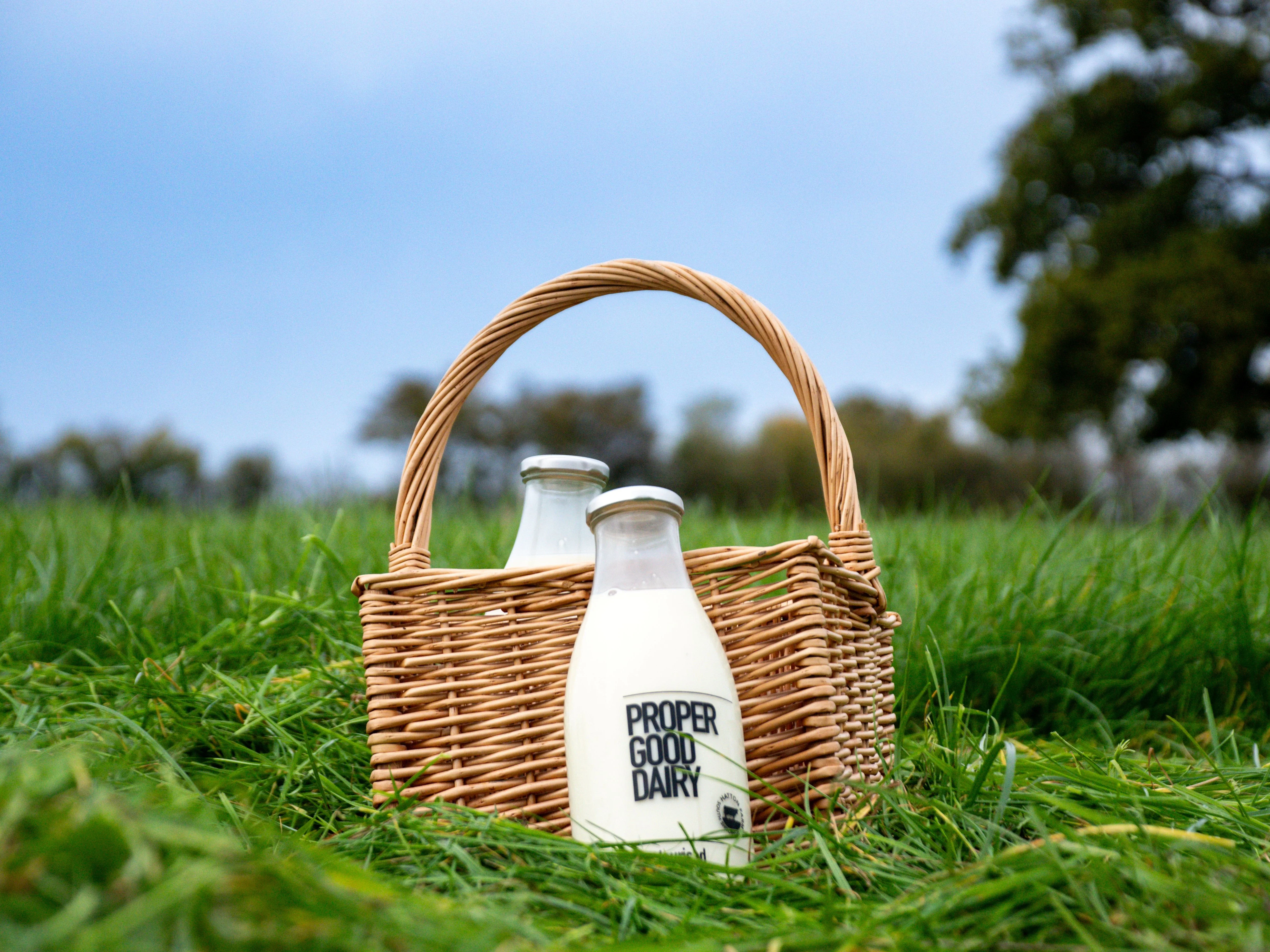 Proper Good Dairy, sent by the business